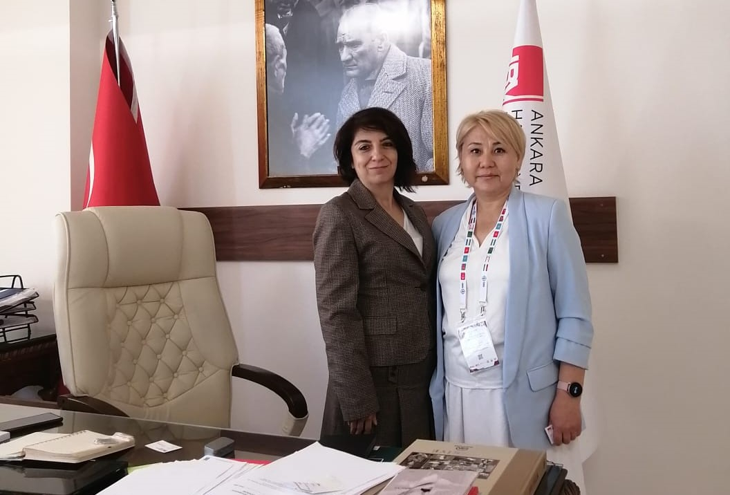 Belgelenmiş prosedürler